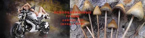 амфетамин Касимов