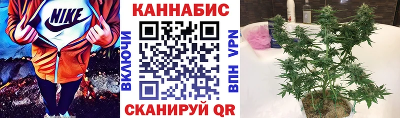 Каннабис гибрид Купить закладки Сенгилей